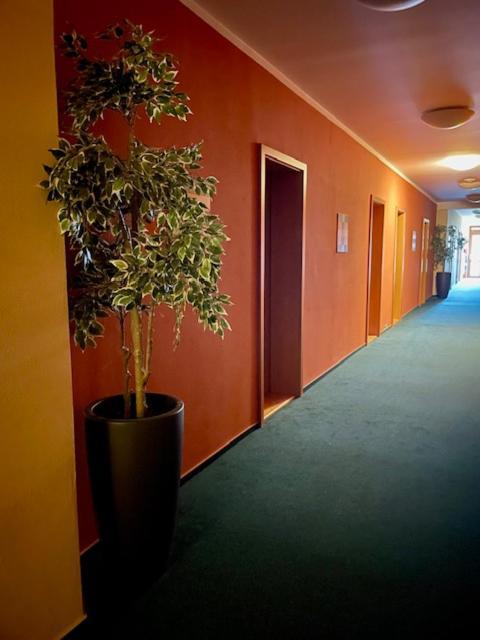Hotel U Milina Extérieur photo